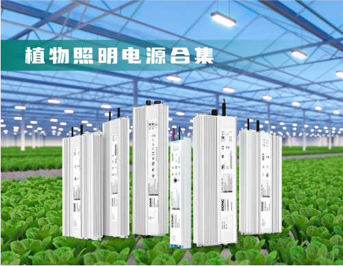 Donlim Power Supply 100-1600W Plant Lighting Power Supply Collection Series