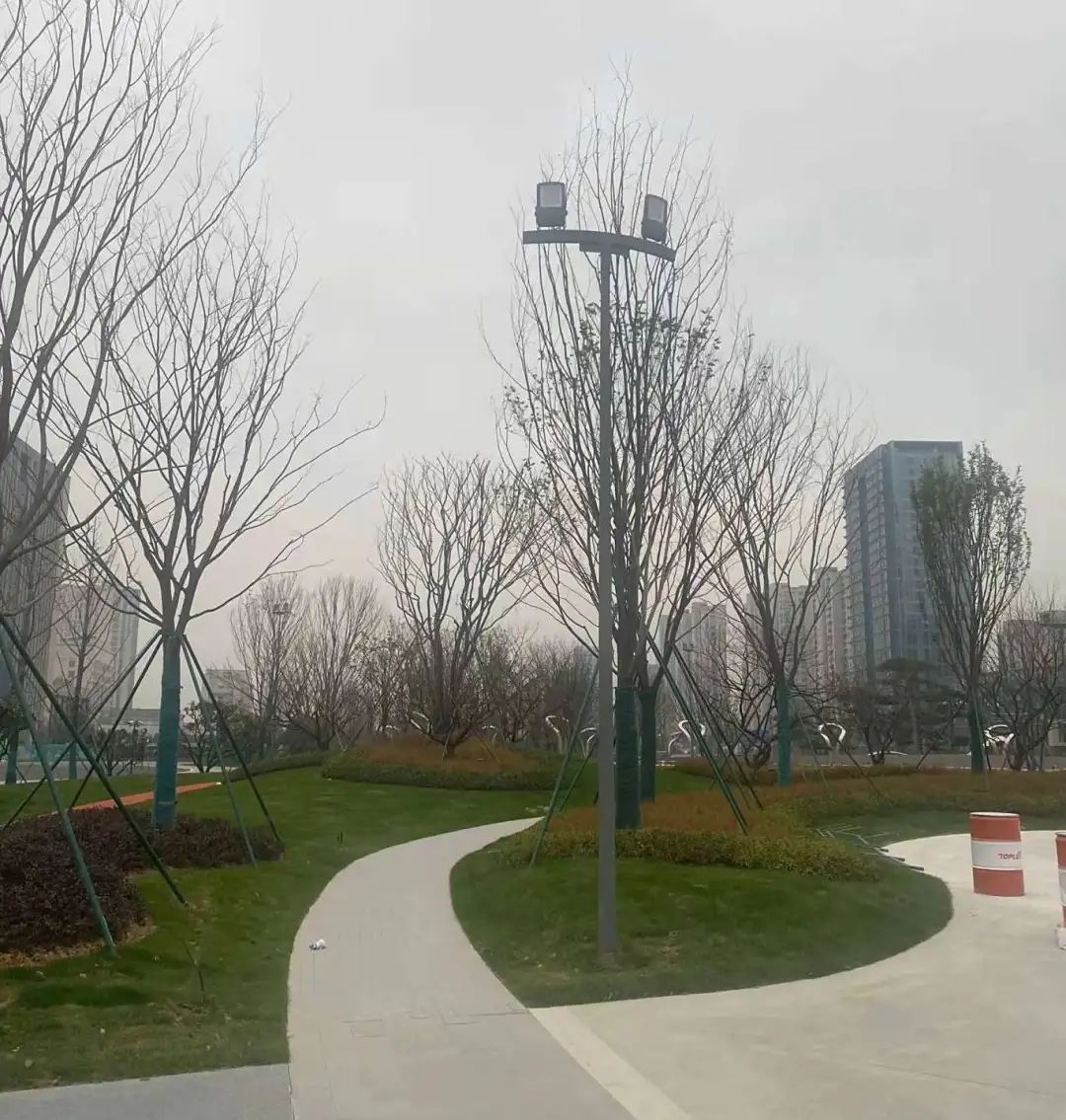 微信图片_20211218105911.jpg